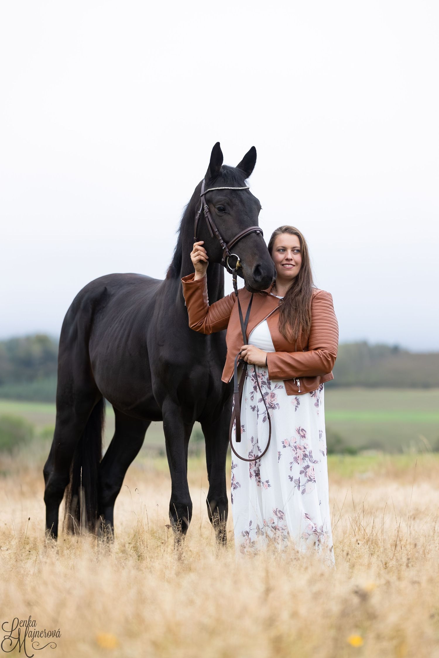A majestic black horse and companion pose together in a golden field at sunset.