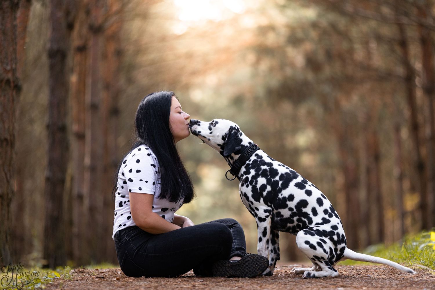 Dalmatian sharing affectionate moment with companion on forest trail.