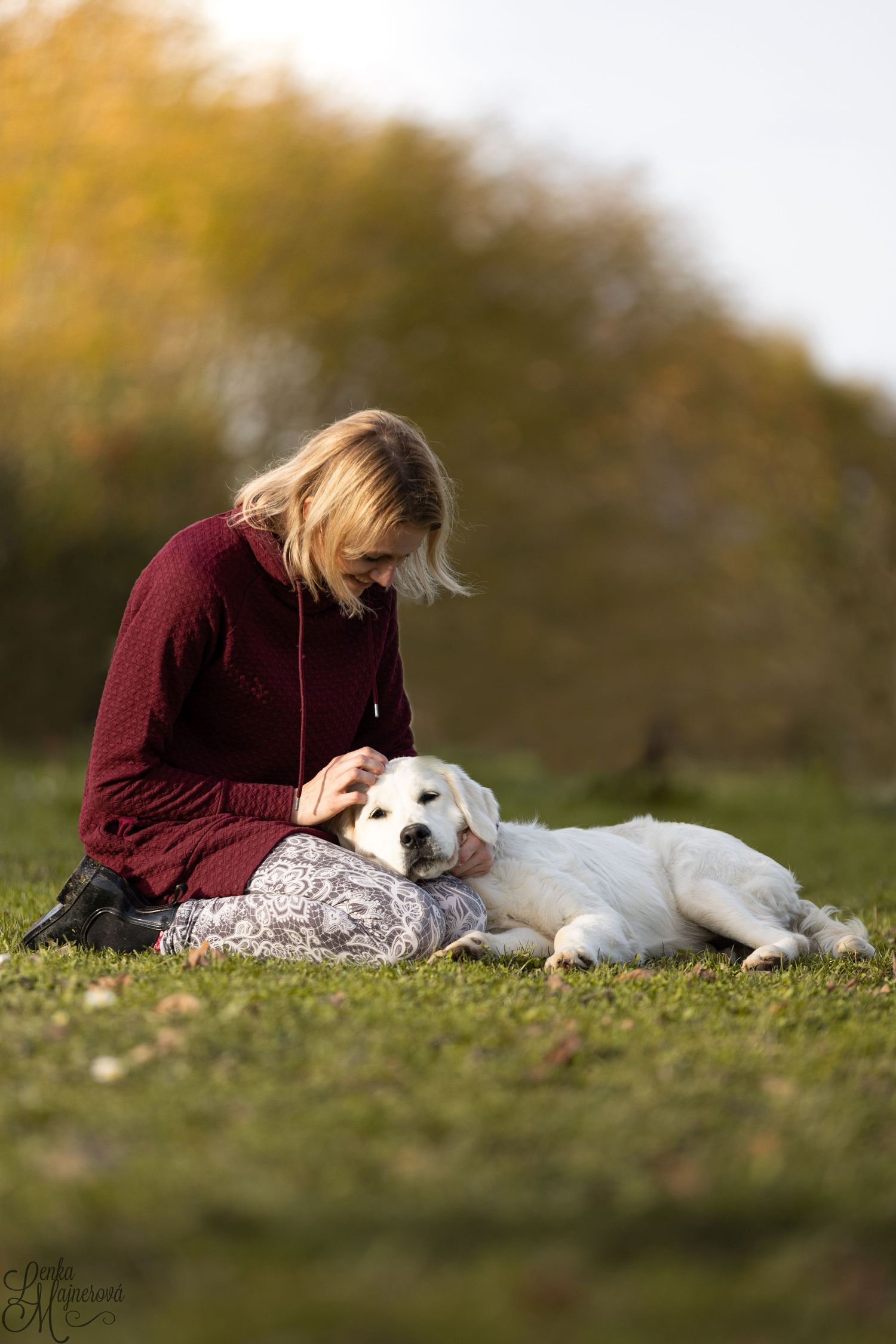 White dog relaxing on rock while receiving gentle pets in outdoor setting.