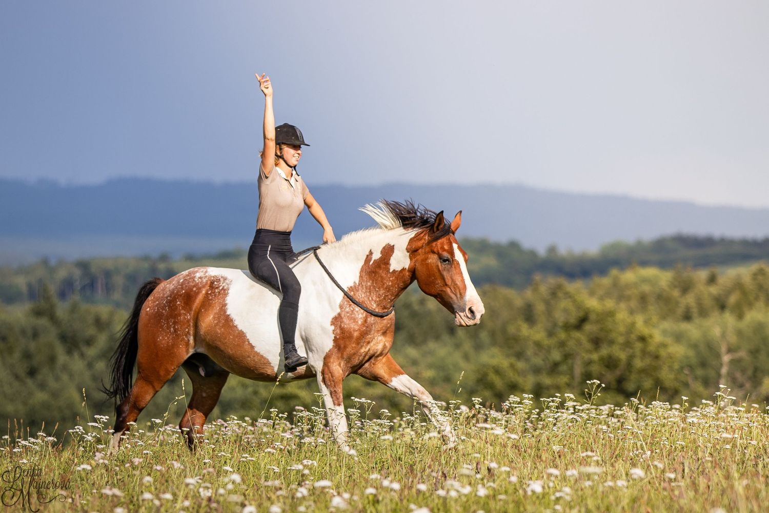 A paint horse gallops through a wildflower meadow with mountains in the background.