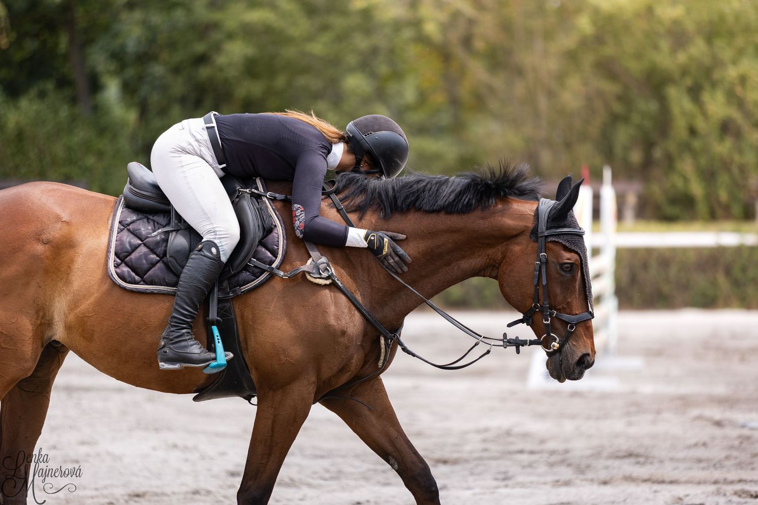 Equestrian rider in competition attire leans forward while guiding their horse during a show jumping event.