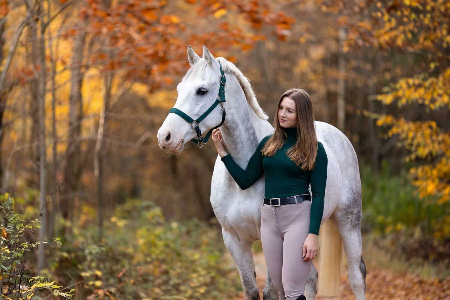 A white horse with companion poses against colorful autumn foliage.