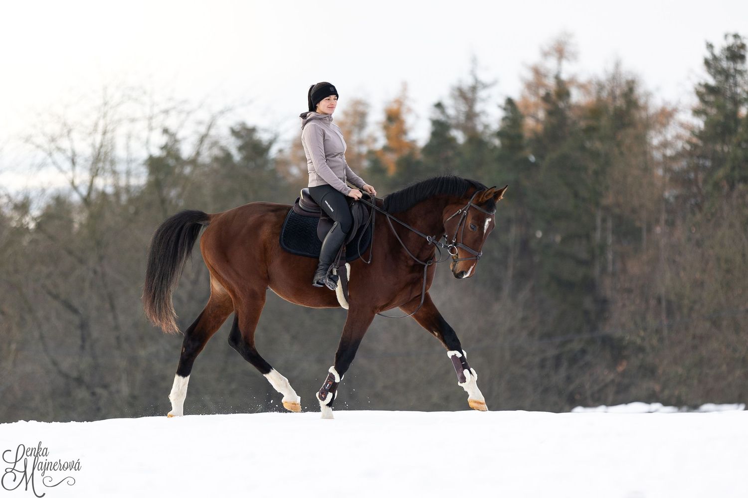 A bay horse and rider practicing dressage movements in a winter setting.