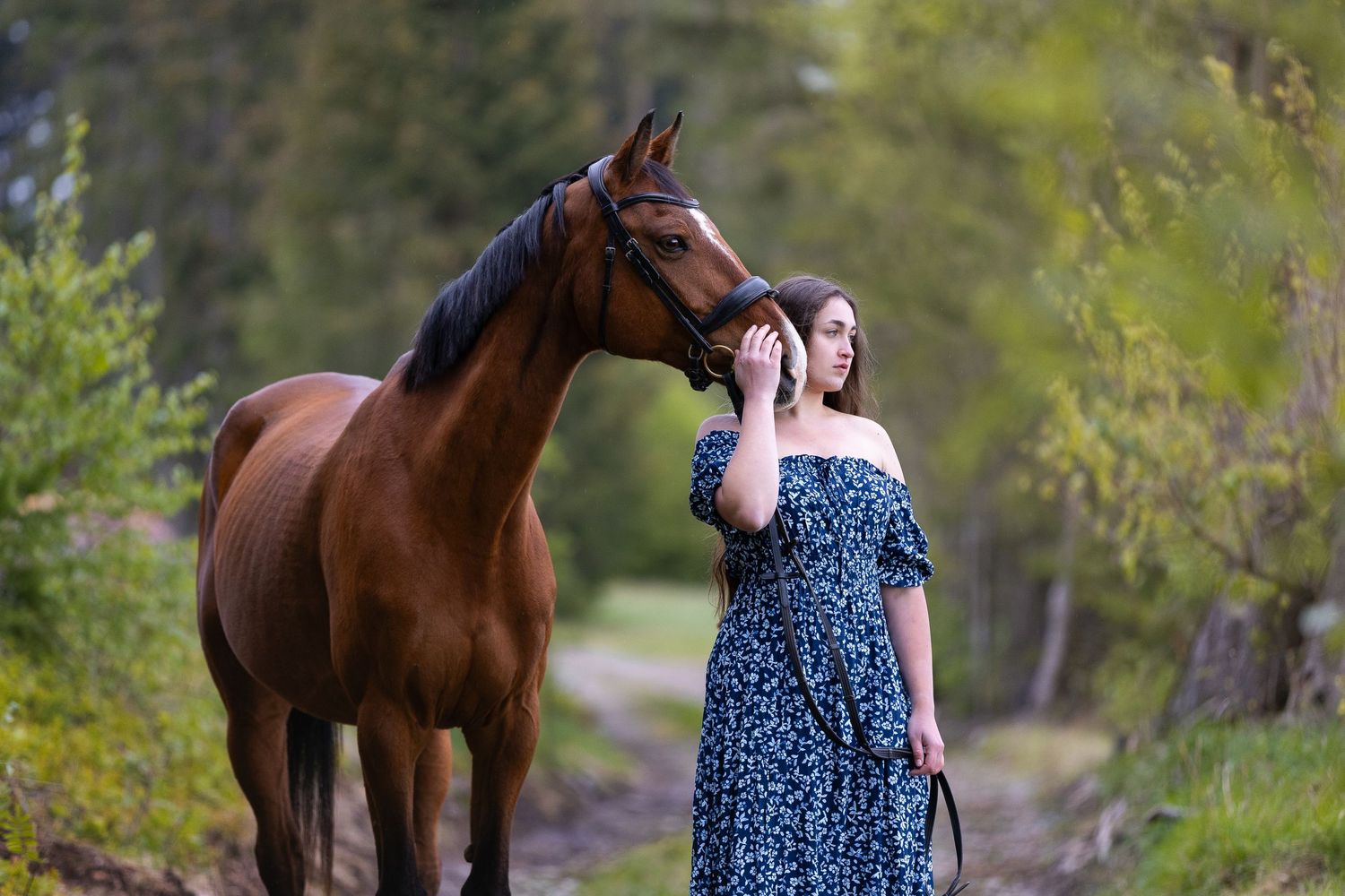 Bay horse and companion sharing intimate moment on forest trail.
