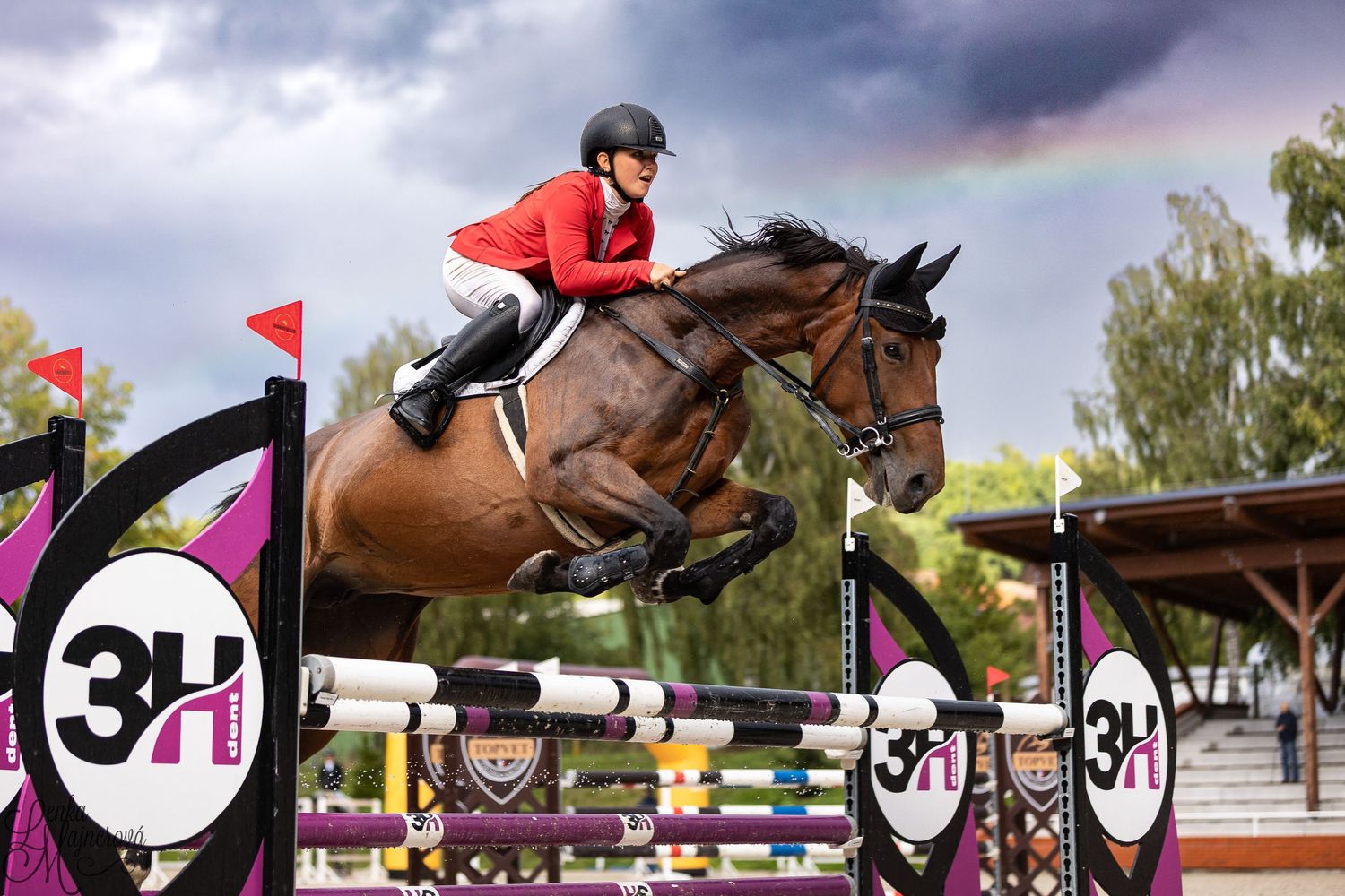 Show jumping competitor in red jacket clearing a high fence on a bay horse during equestrian competition.