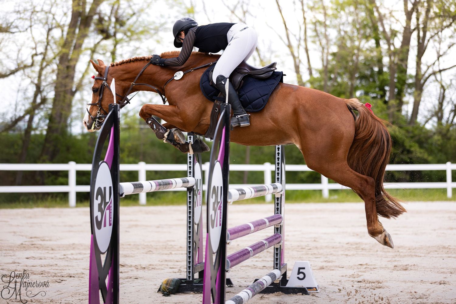 A chestnut horse and rider clearing a purple and white show jumping fence during an equestrian competition.