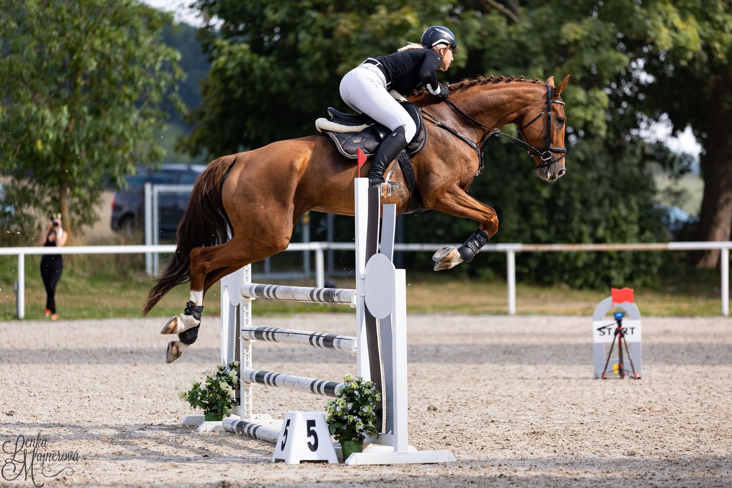 A horse and rider navigate through an equestrian jumping course in an outdoor arena.