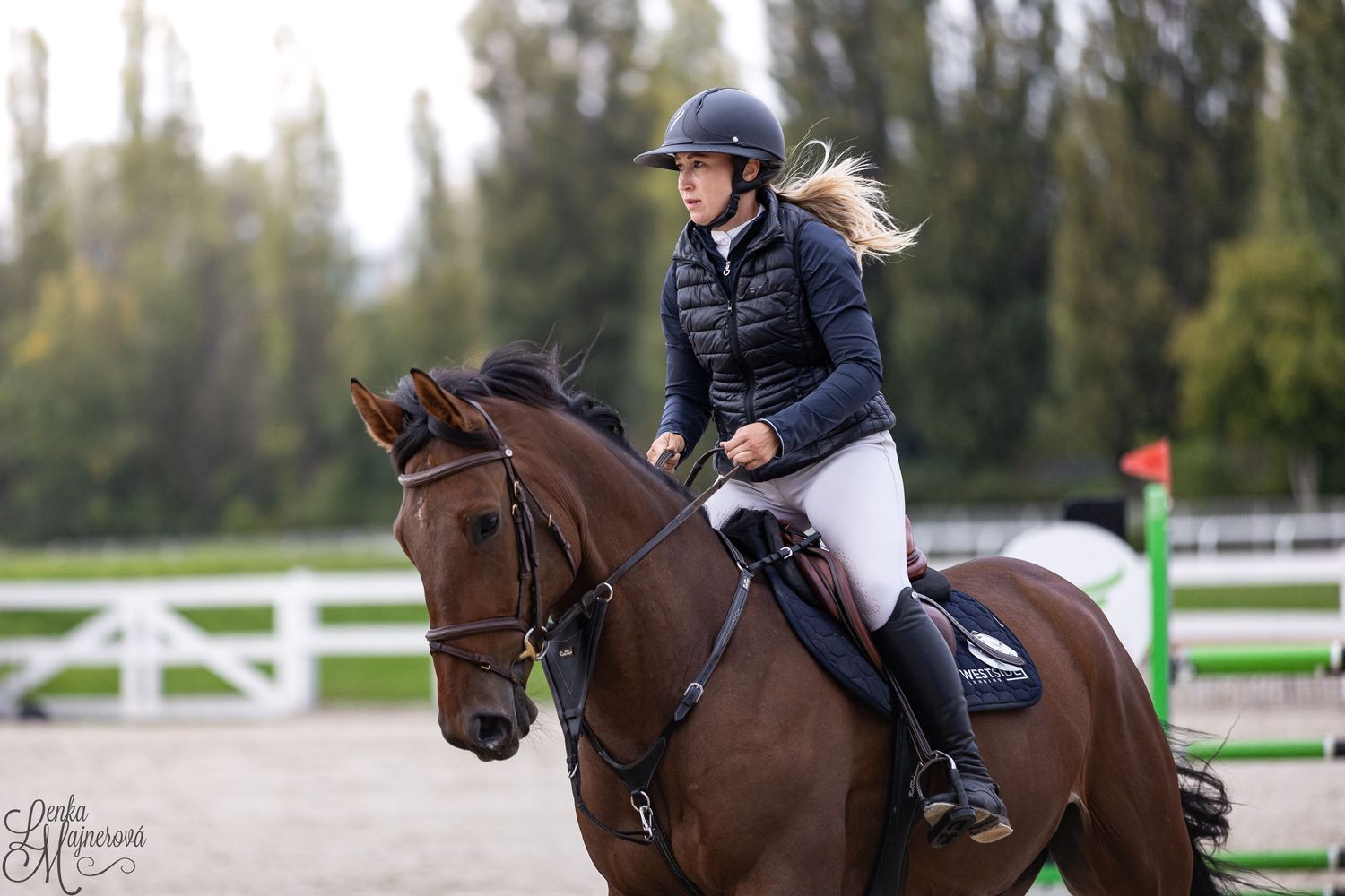 Equestrian rider in navy jacket and helmet guiding brown horse through outdoor training course.