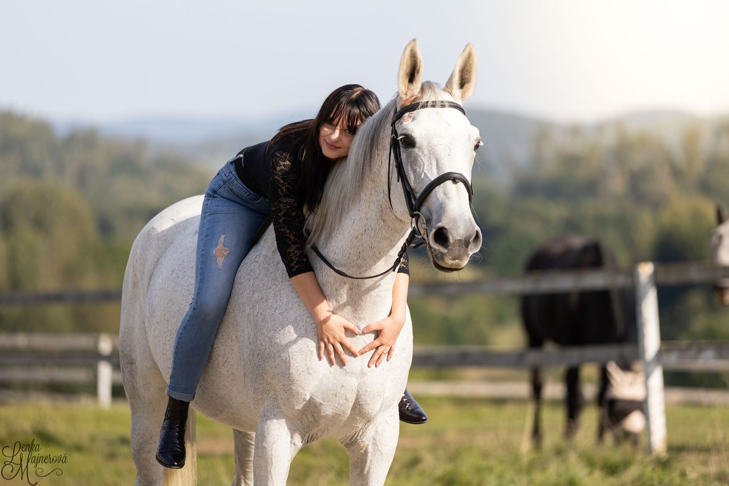 A white horse receives affection from someone in a sunny paddock.