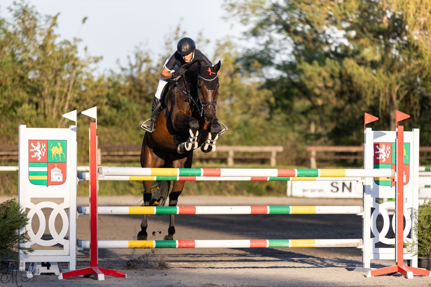 Horse leaping over decorated show jumping fence with numbered markers.