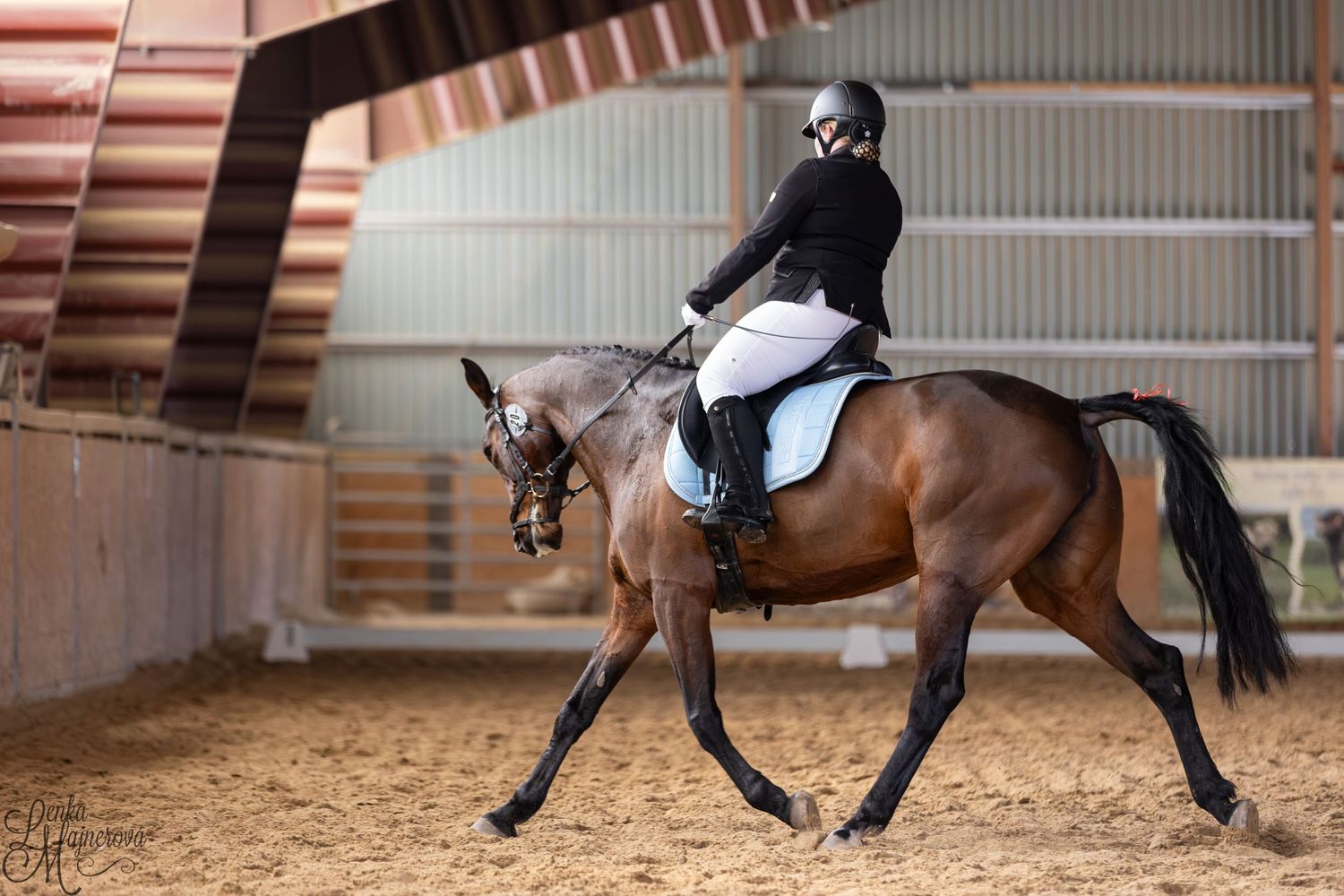 Bay horse and rider performing dressage movements in covered training arena.