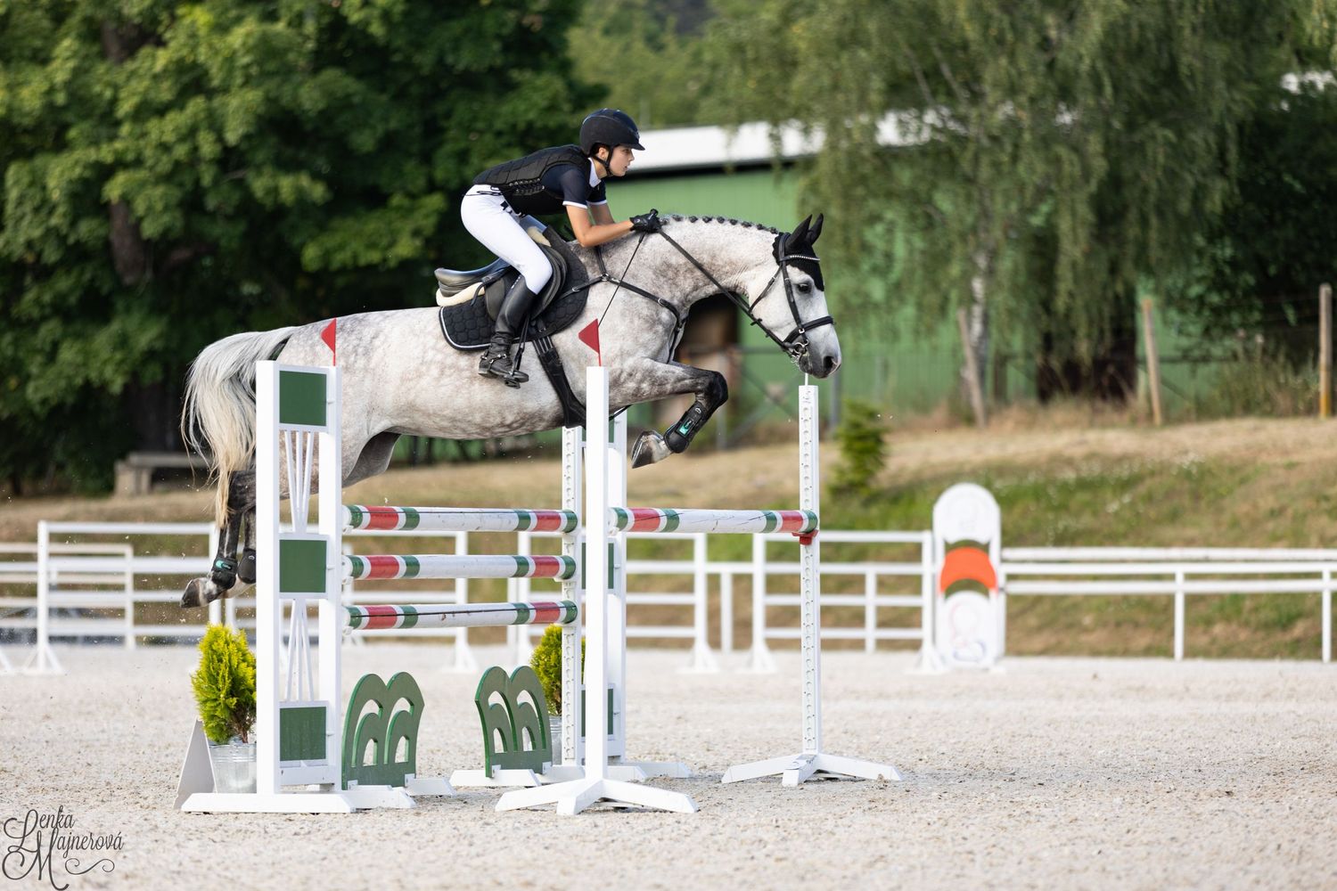 Gray horse and rider clearing decorated show jumping fence in sandy arena.