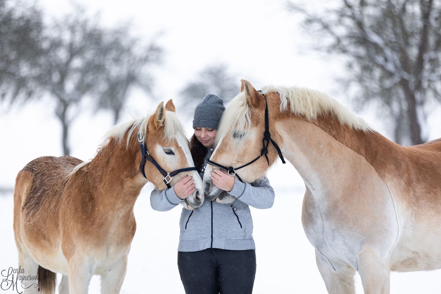 Two friendly horses nuzzle up close during a snowy winter scene.