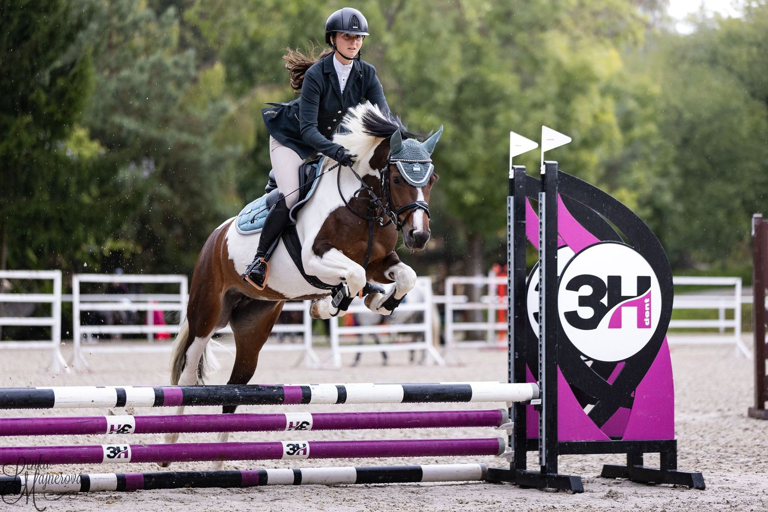 Equestrian rider jumps over purple and white obstacles during a show jumping competition on sandy arena.