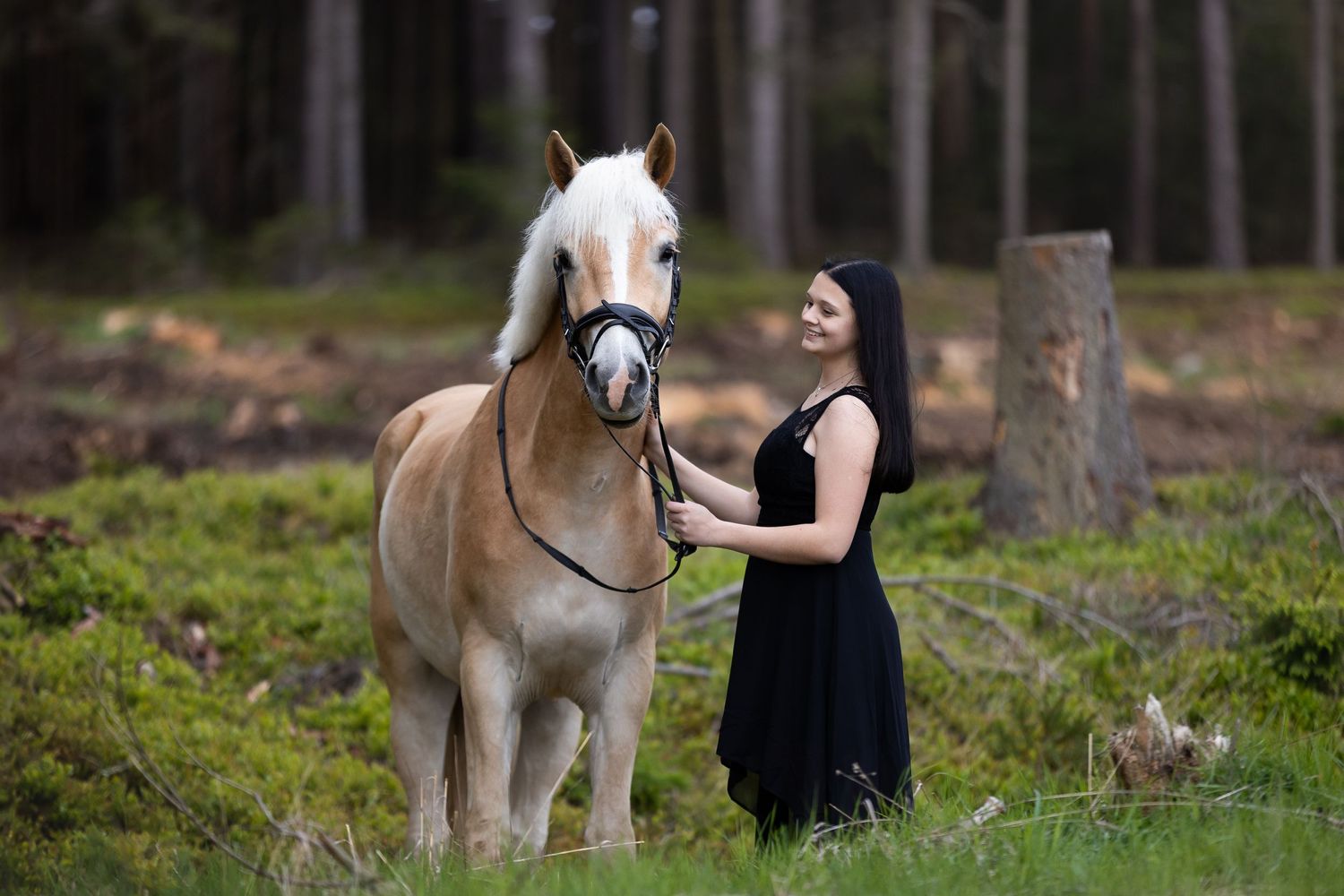 Palomino horse with companion in natural woodland setting.