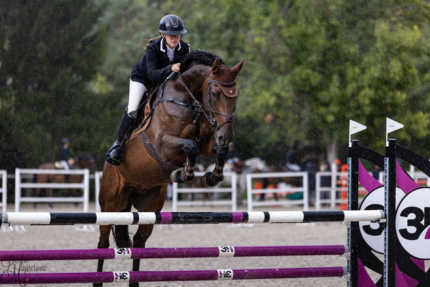 Equestrian rider navigates horse over purple and white show jumping obstacles during competition.