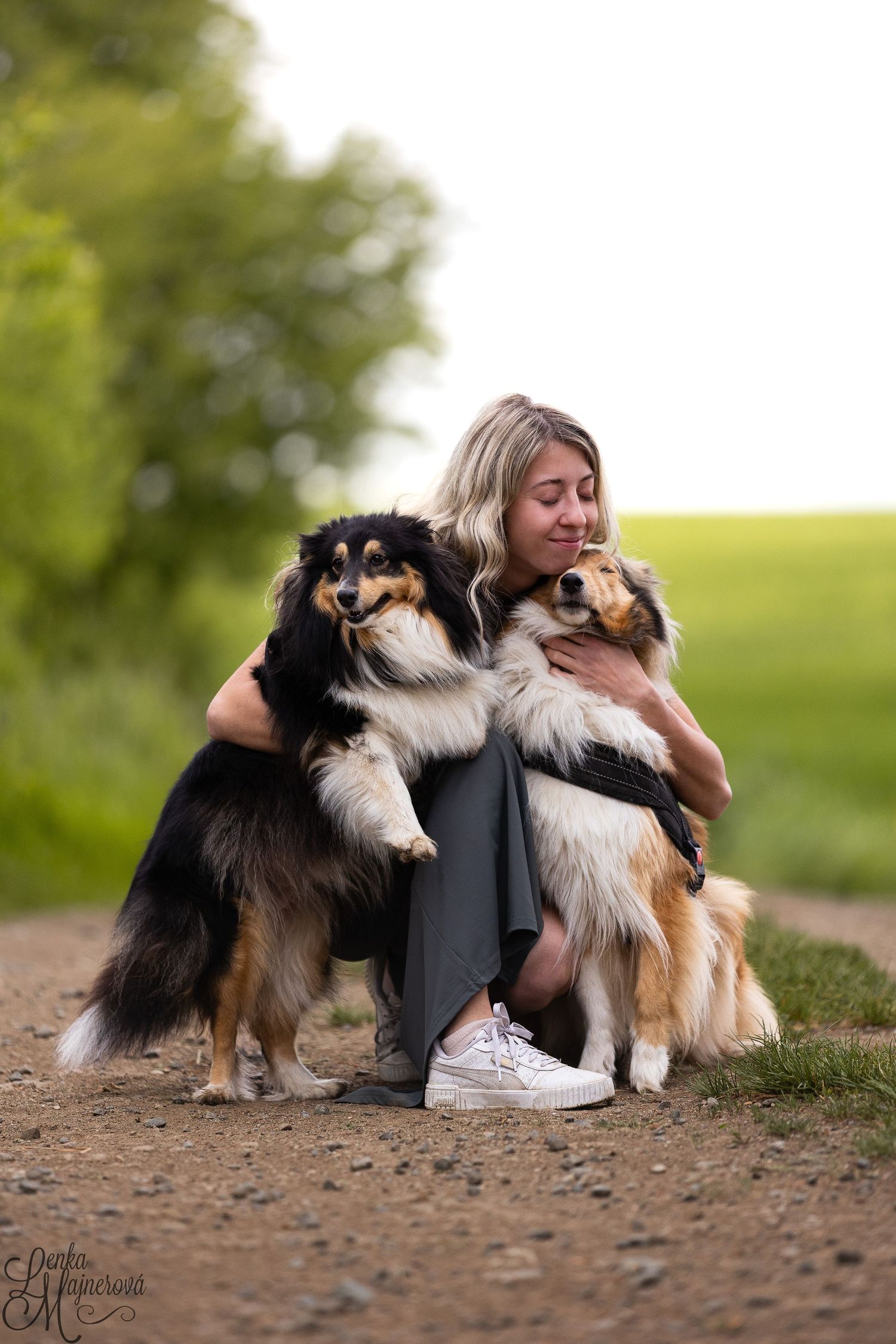 A person sits outdoors with three Australian Shepherd dogs showing affection and companionship on a dirt path.