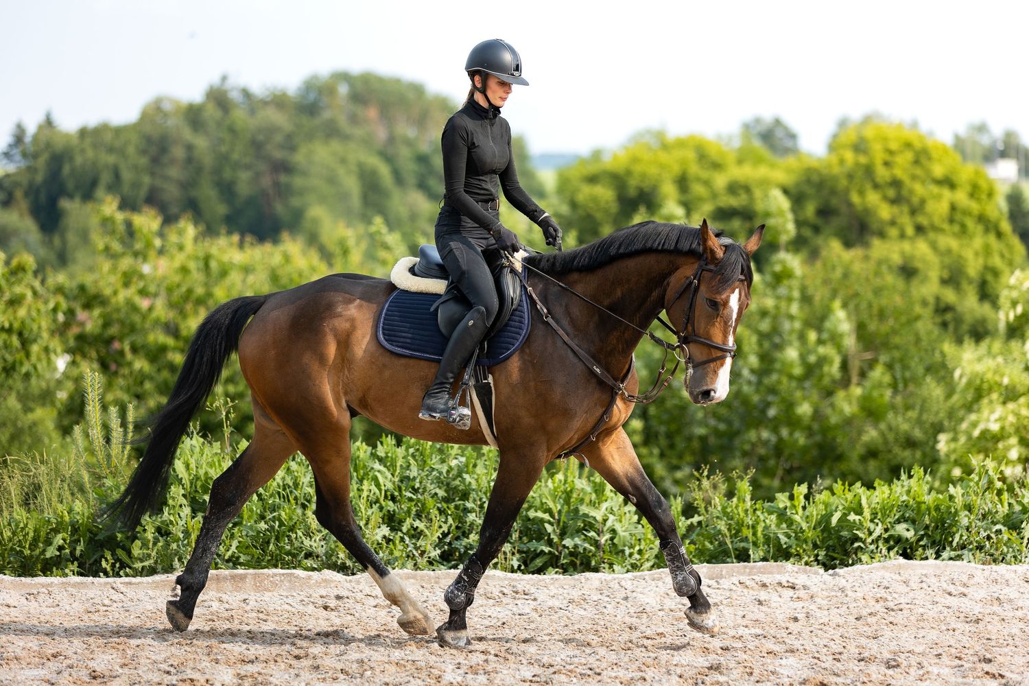 Horse and rider practicing dressage movements on a sandy arena surrounded by lush greenery.