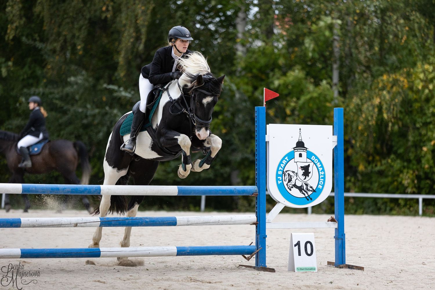 Black and white horse and rider clearing competition jump with blue numbered standard.