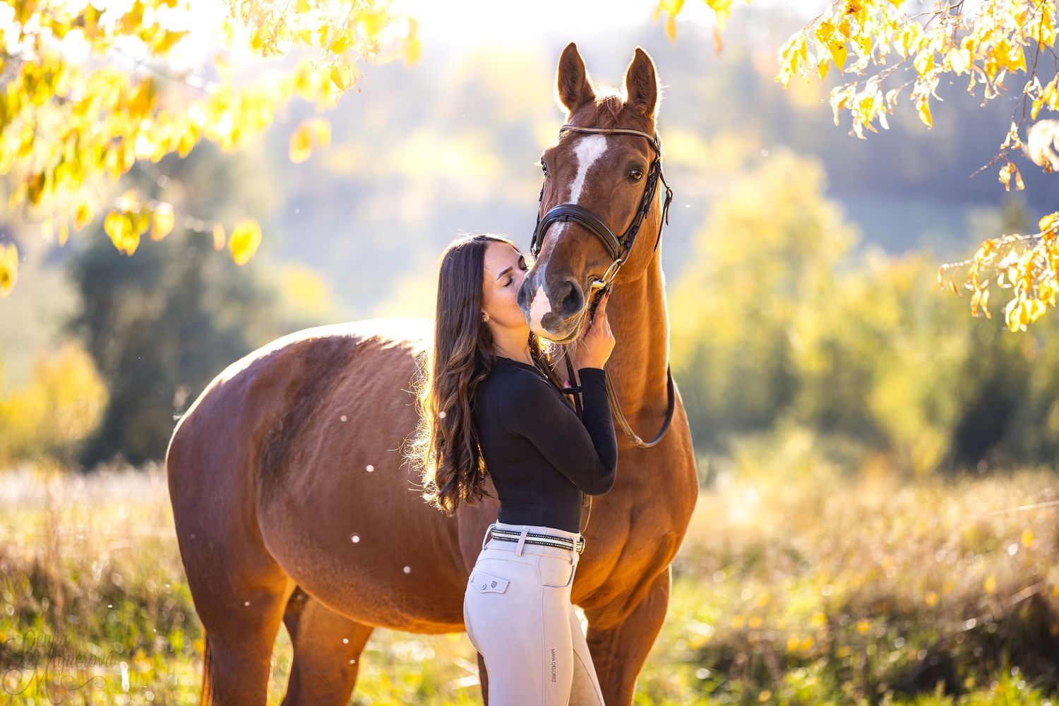A brown horse stands in a golden sunlit meadow with autumn leaves falling and bokeh light effects in the background.