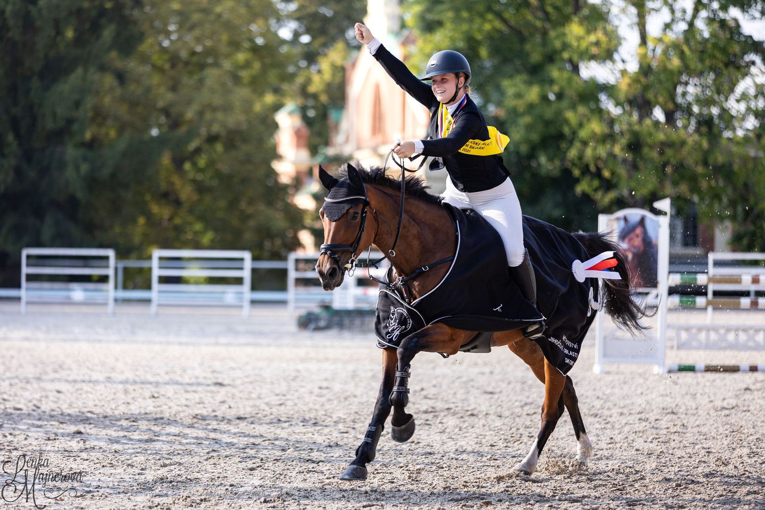 Equestrian rider in black and white attire competing in dressage event on dark brown horse in outdoor arena.