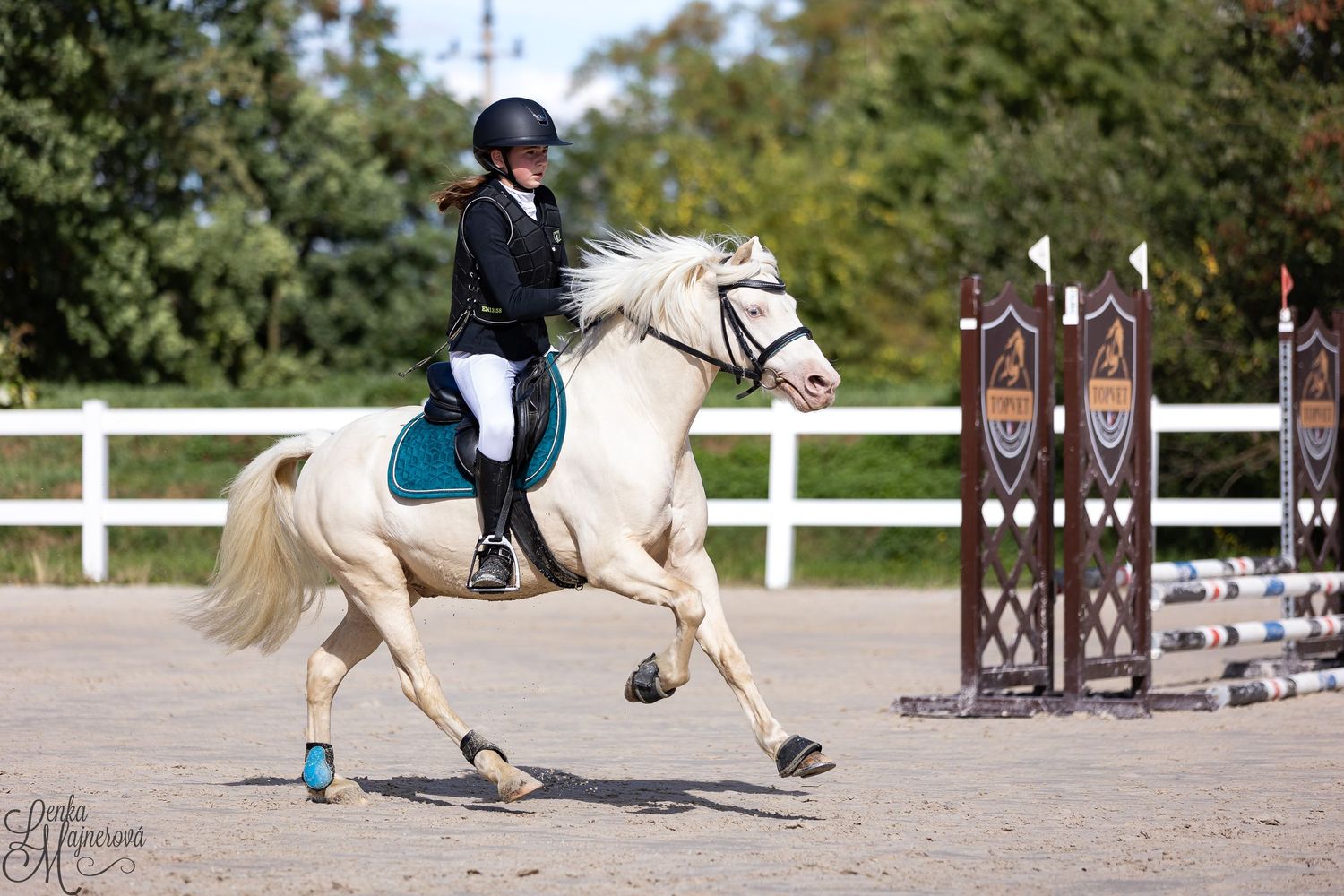 Close-up view of equestrian jumping competition showing horse legs and white arena fence rails during show jumping event.