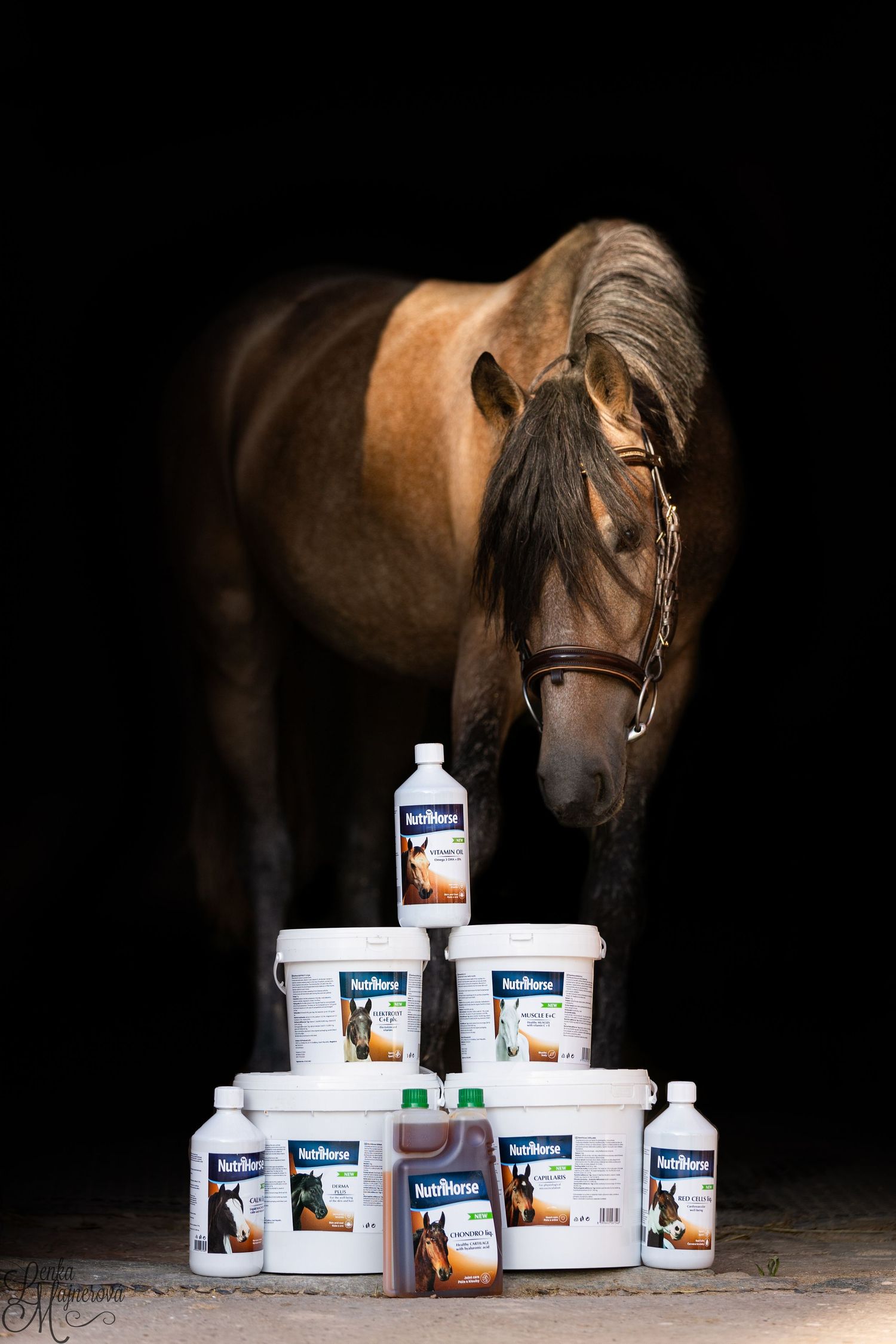 Bay horse looking at collection of supplement products arranged in front of dark background.