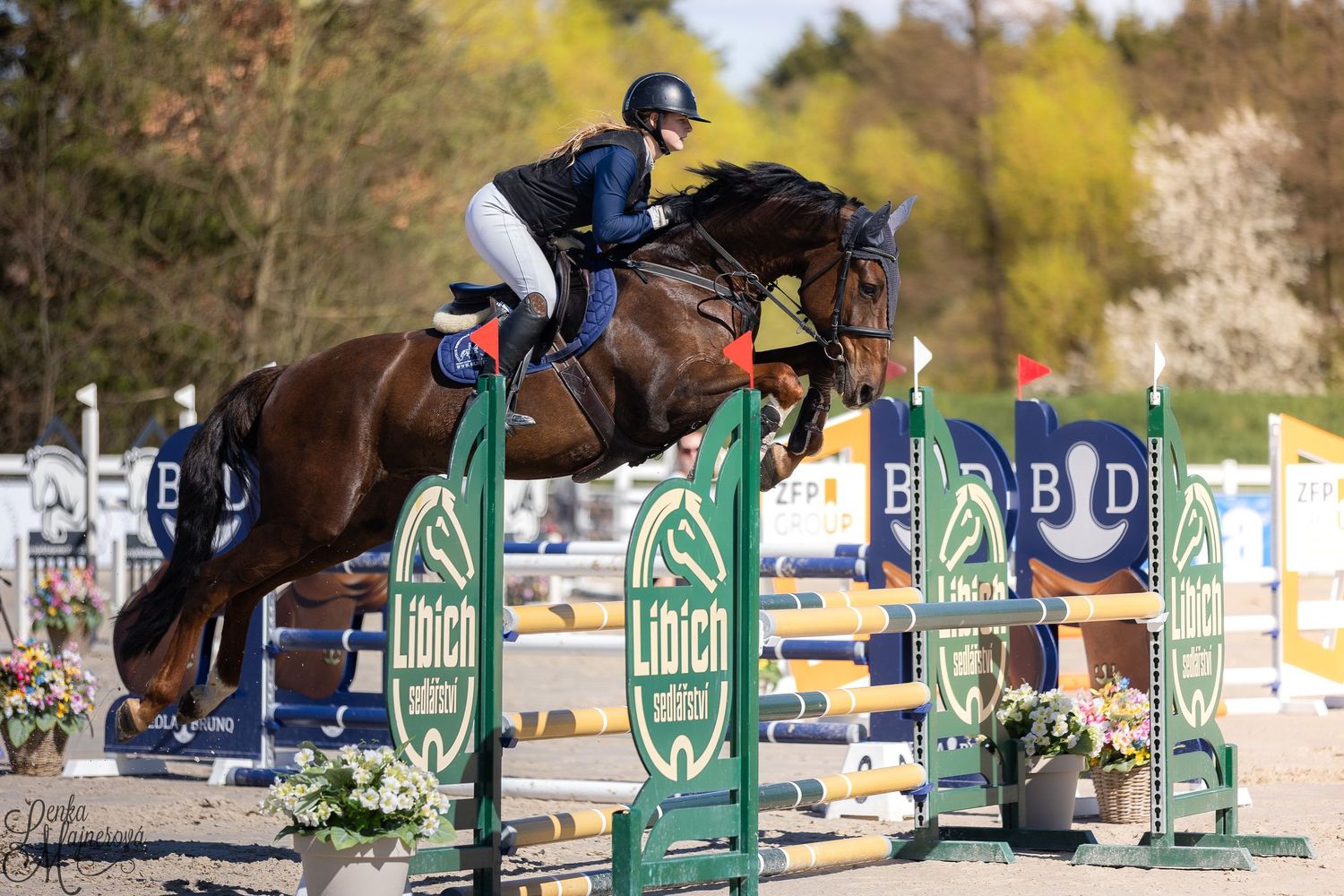 Equestrian rider and horse clearing a green jump obstacle during a show jumping competition.