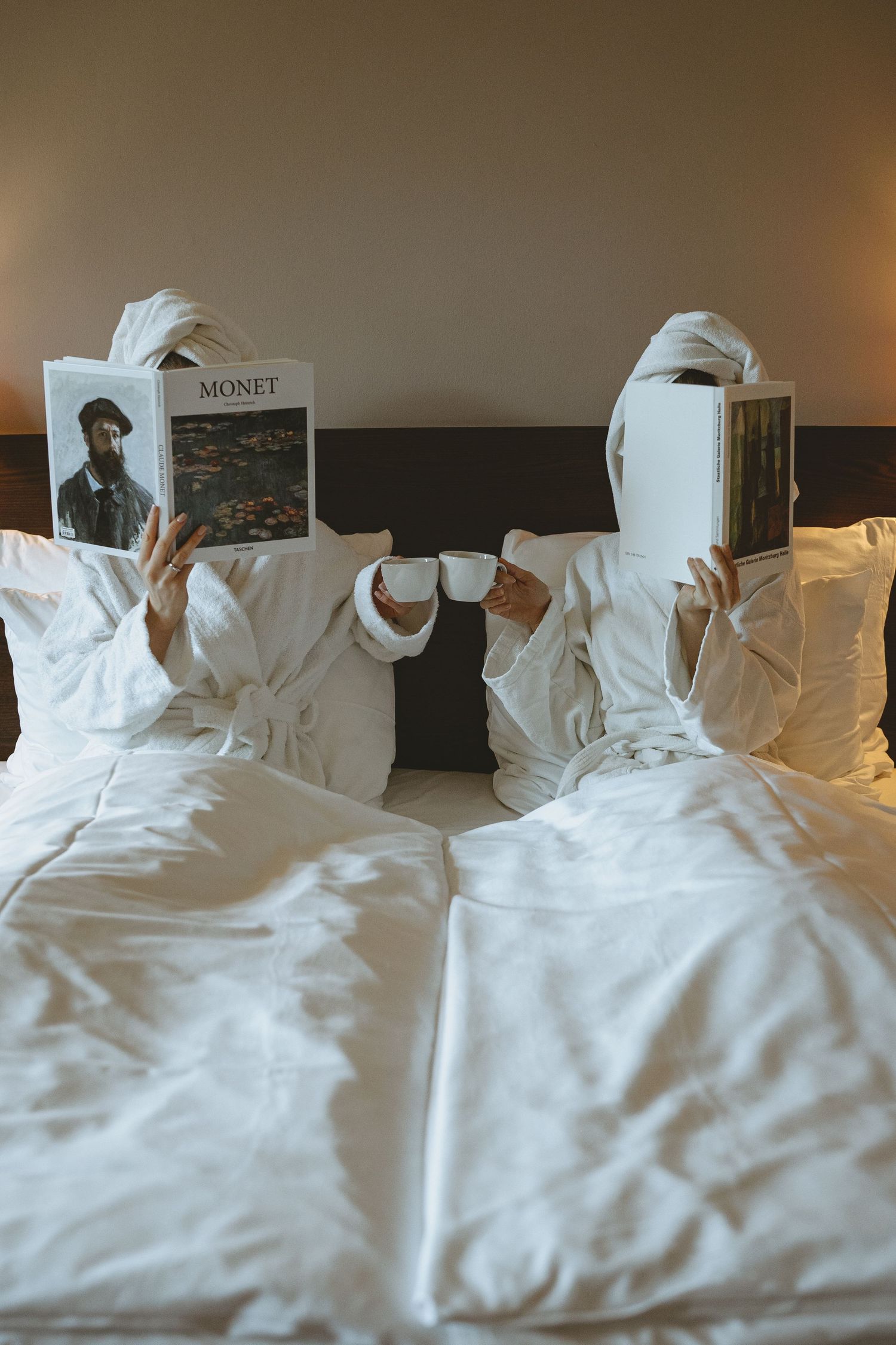 Two pillows arranged on a bed with books positioned upright between them.