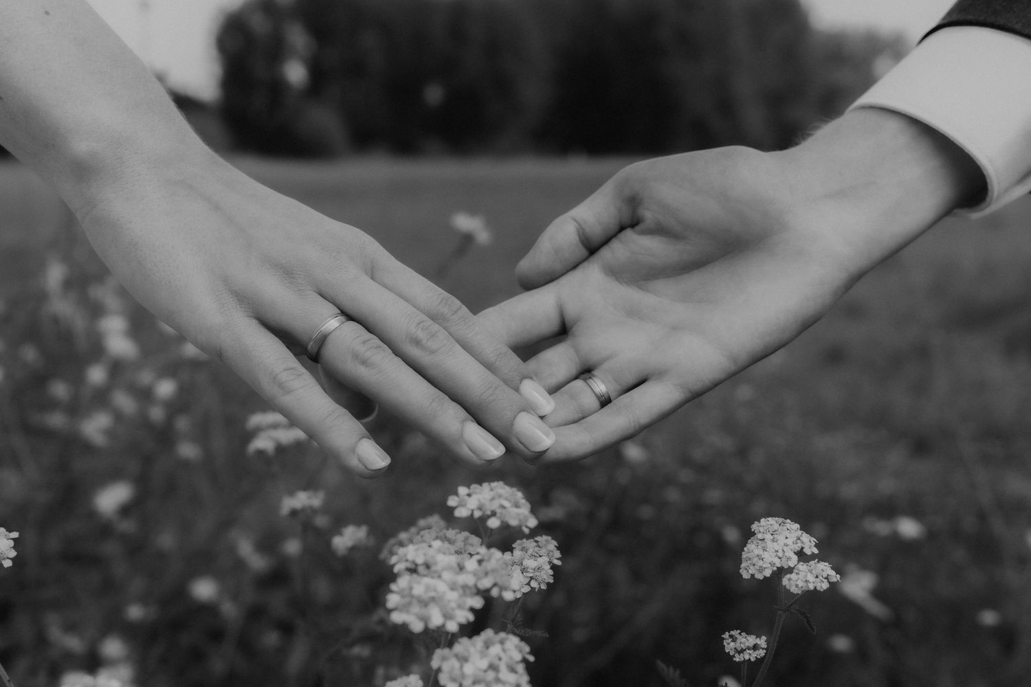 Close-up black and white shot of wedding rings and holding hands over wildflowers.