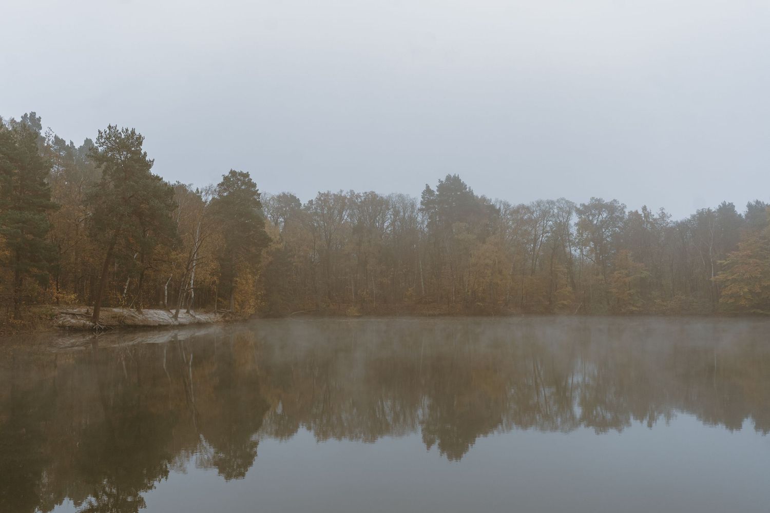 Misty autumn lake with bare trees reflecting on calm water surface.