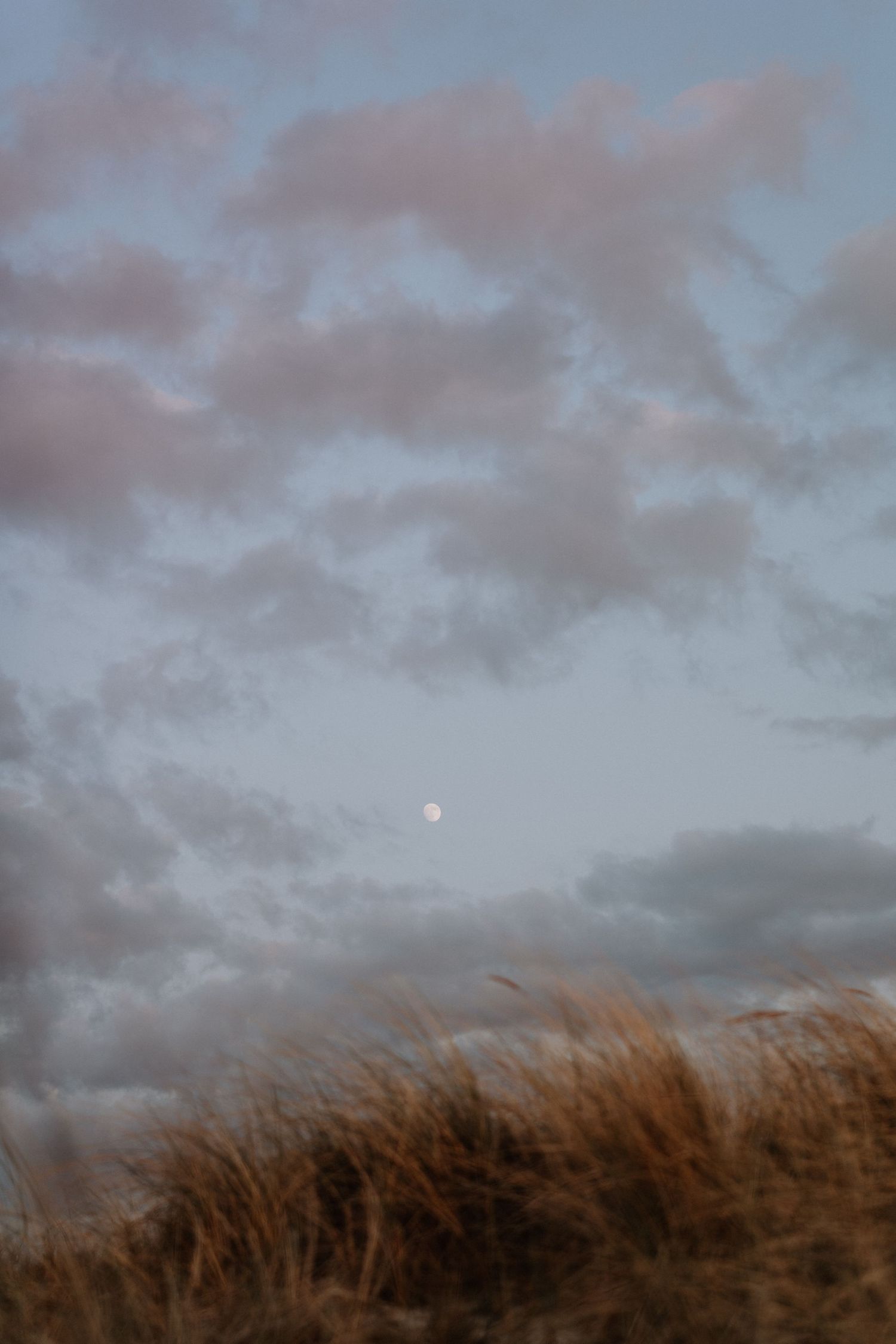 Moody sunset sky with pale moon visible through pink-tinted clouds over tall grass.