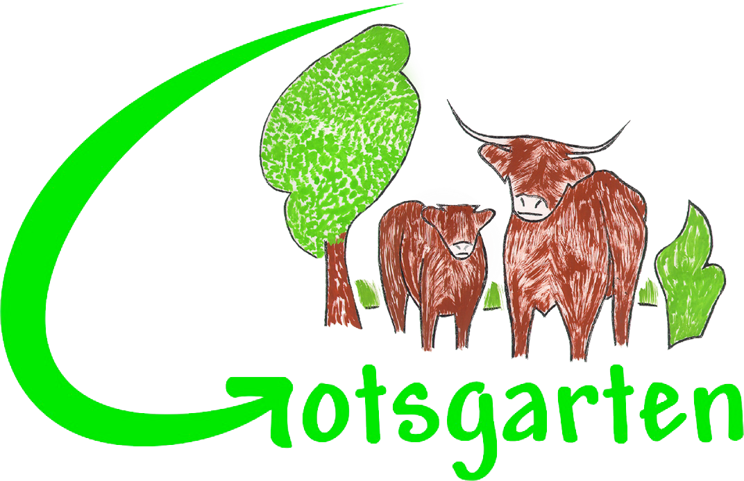 Whimsical green logo design featuring Highland cattle and a tree for Fotogarten.