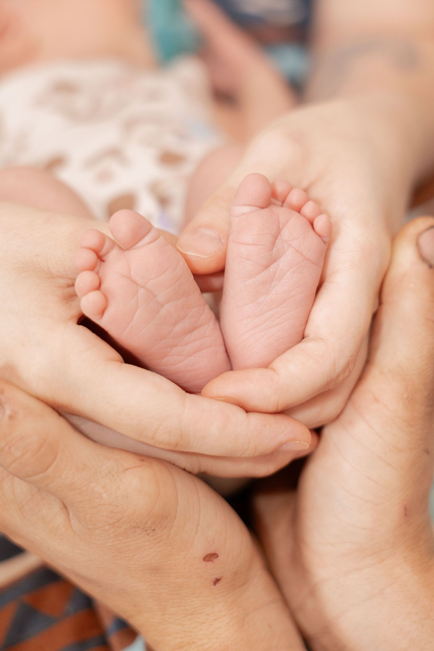 Adult hands gently cradling tiny newborn baby feet in a tender and loving close-up photograph.