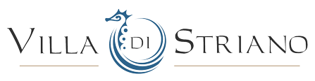 Elegant logo design for Villa di Striano featuring a stylized blue circular emblem with text.