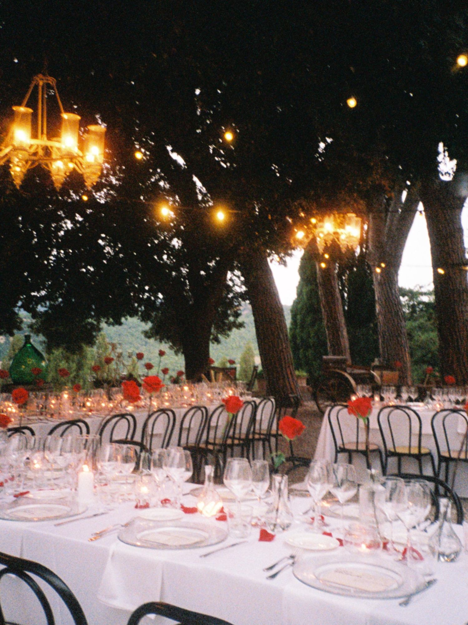 Elegant outdoor evening dinner party with long white tables, candlelight, red roses, and glowing chandeliers under tall trees.