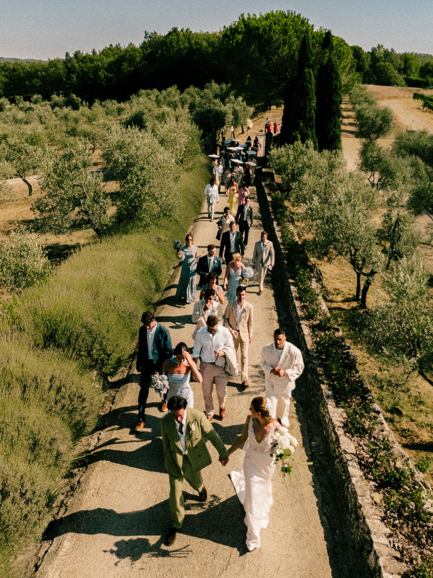 Aerial view of wedding party walking down a tree-lined path in a sunny Tuscan countryside setting.