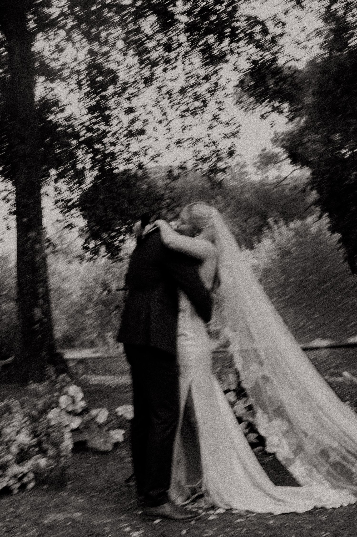 Black and white photo of a bride and groom sharing a kiss outdoors, with a flowing veil and lush trees in the background.