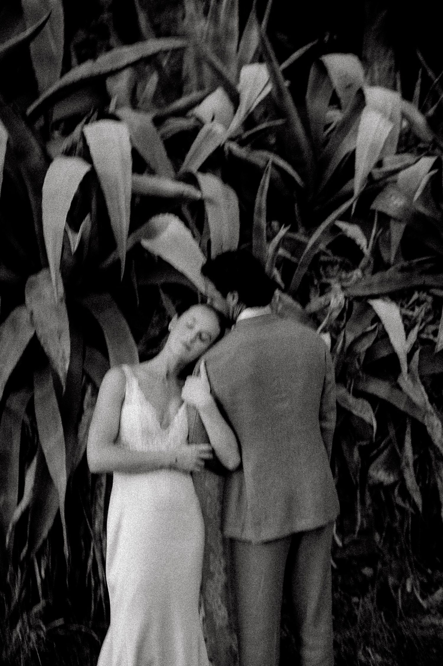 Black and white photo of a bride in white gown leaning on groom in suit, surrounded by tropical plants.