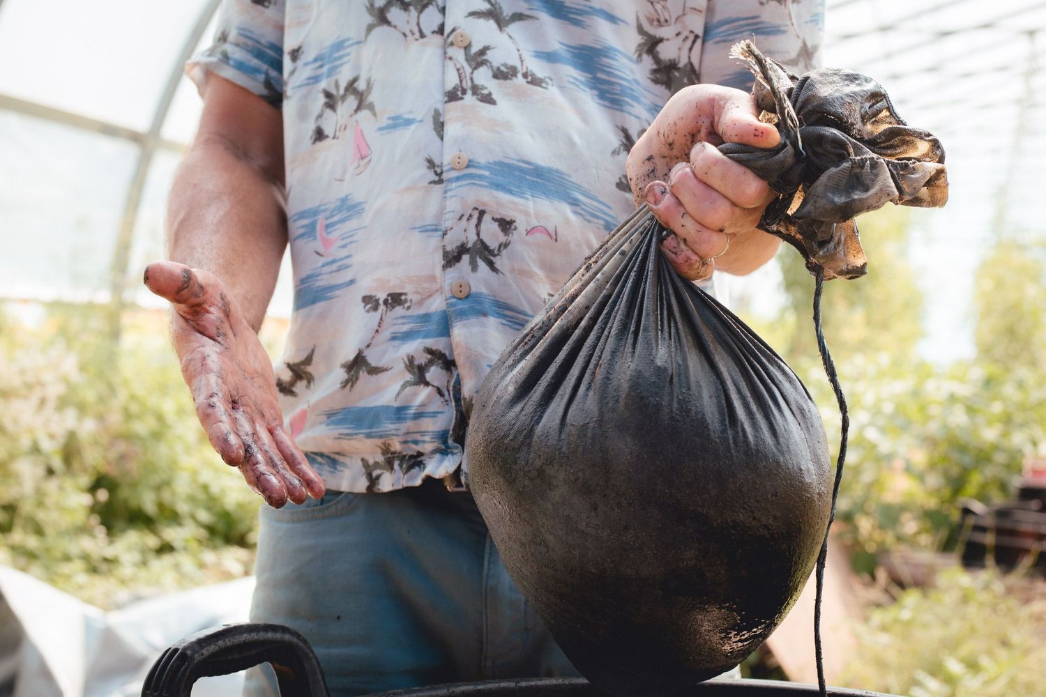 Hands holding a large black soil or fertilizer bag in a greenhouse setting.