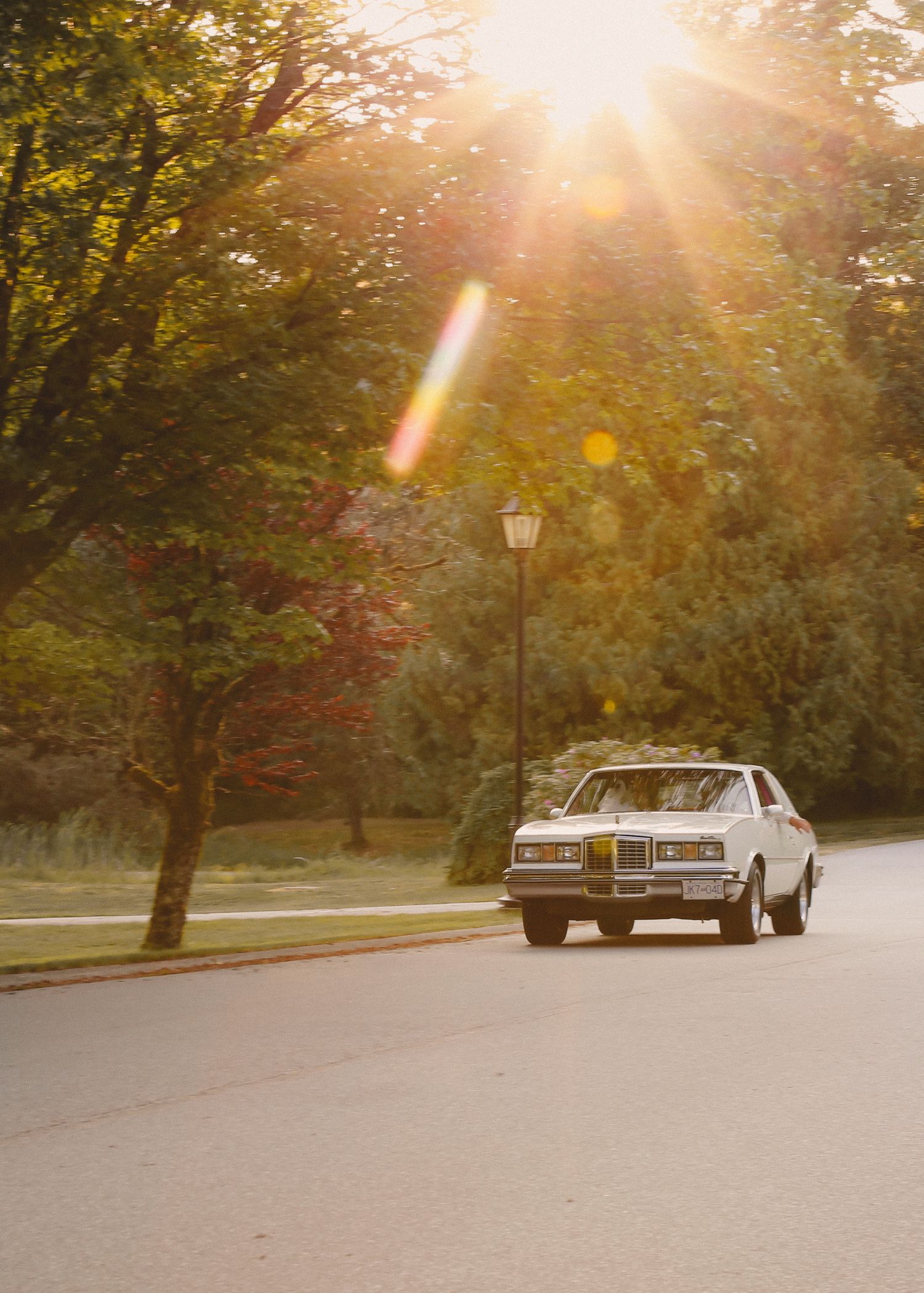 Classic car driving on tree-lined road during golden hour sunset.