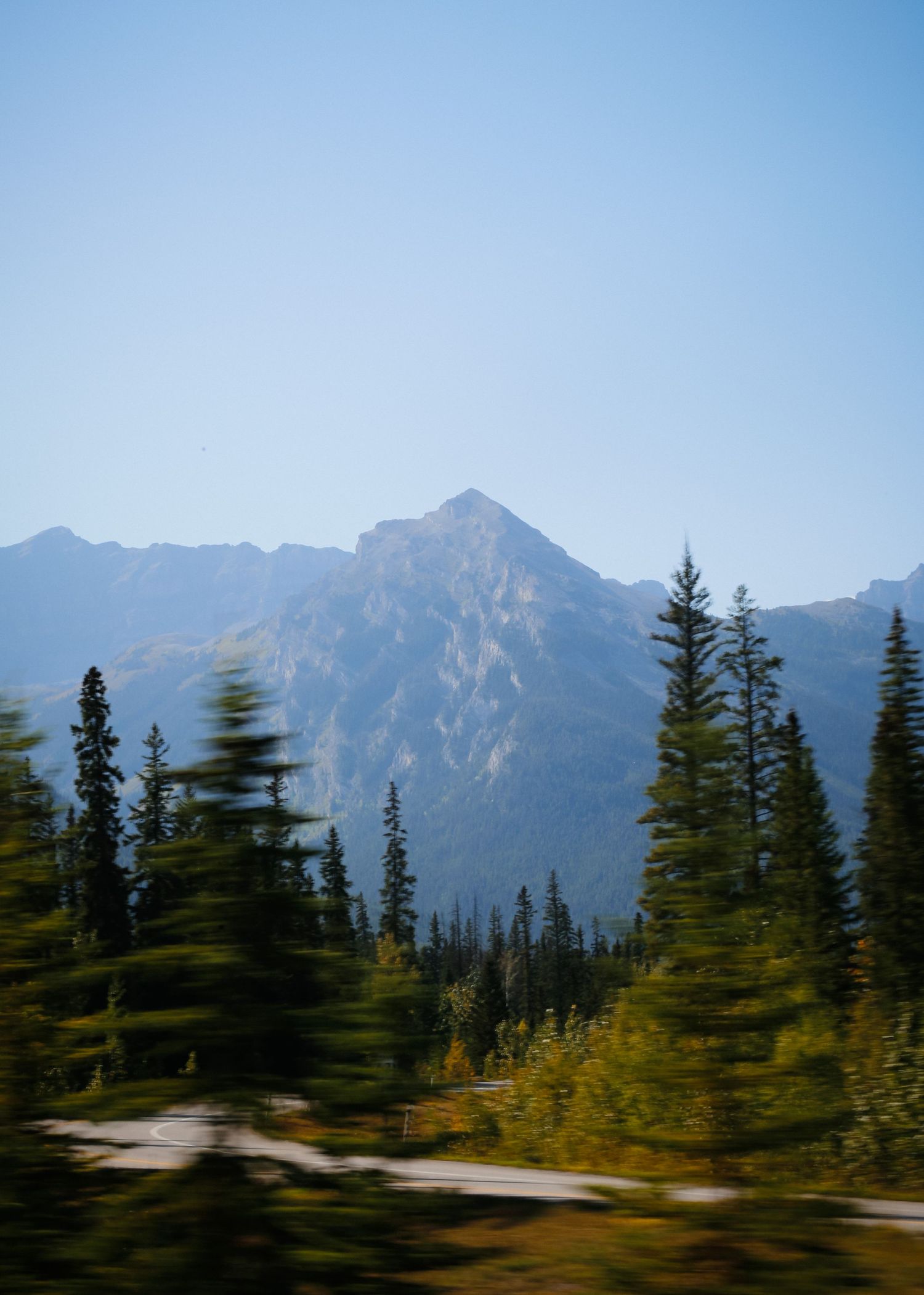 A majestic mountain peak rises above a forest of evergreen trees in motion blur.