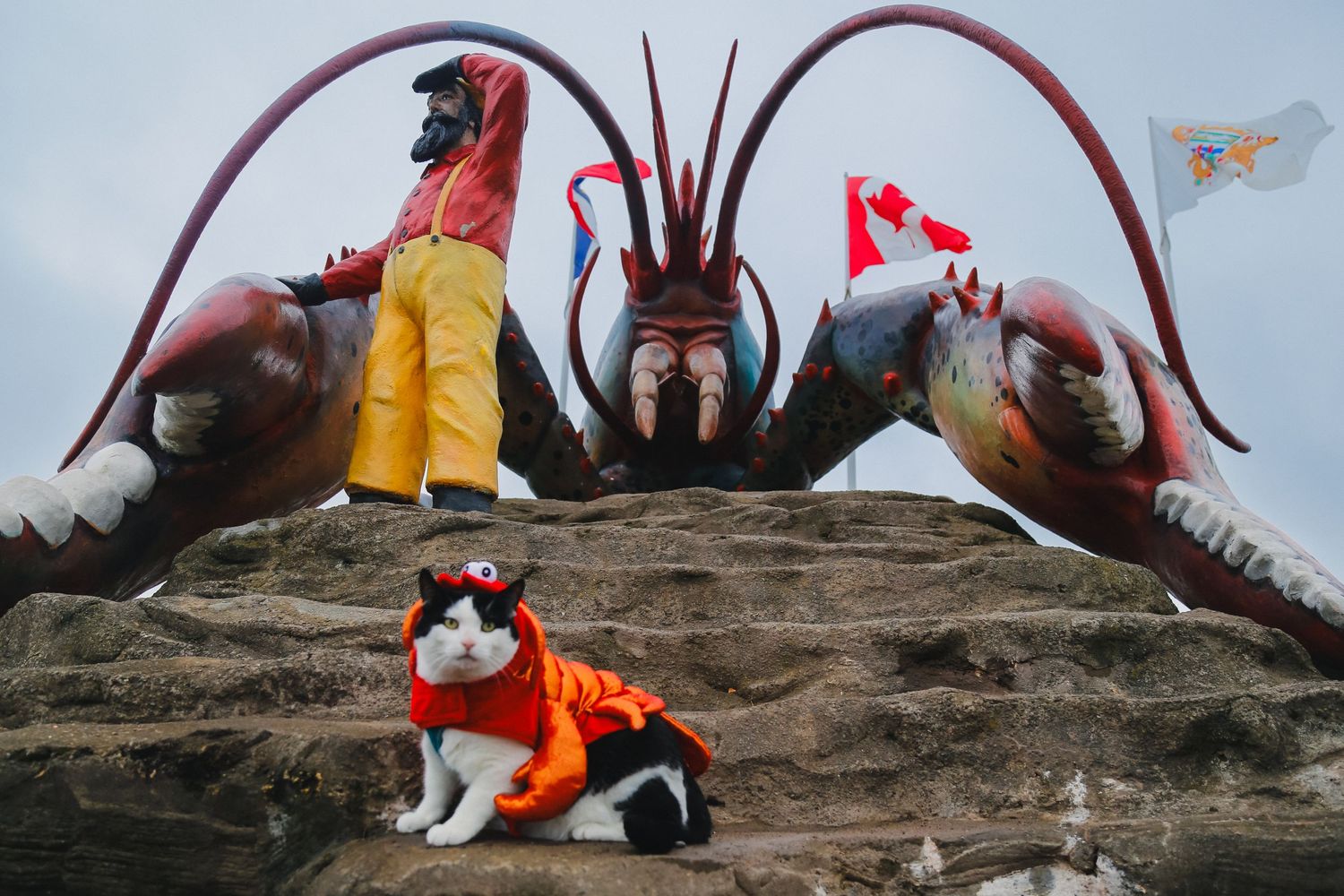 Giant red lobster statue on rocky outcrop with person in yellow raincoat and cat in orange vest.