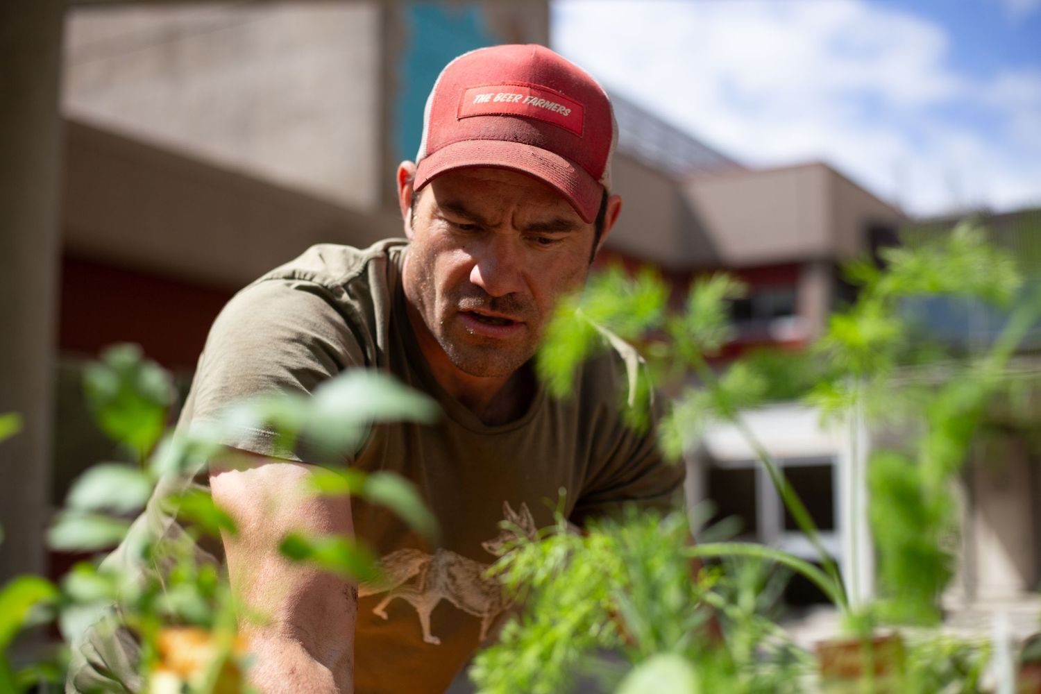 Person tending to plants in a garden while wearing a red baseball cap.