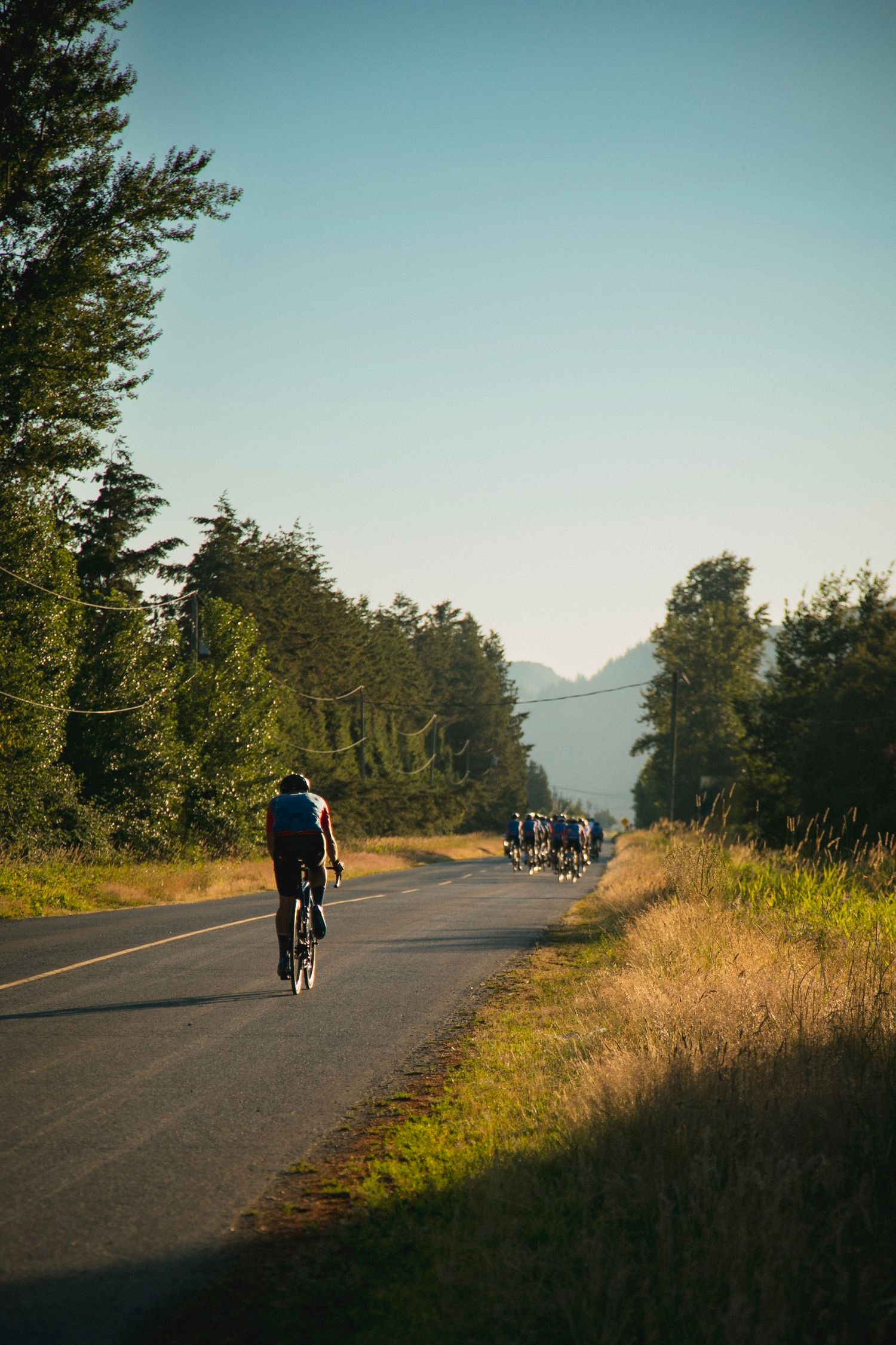Cyclists riding on a scenic tree-lined road during golden hour with mountains visible in the distance.