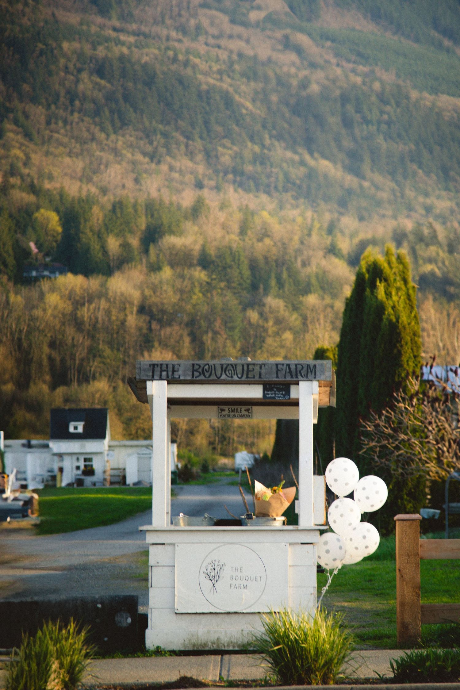 A quaint white market booth with balloons stands against a backdrop of forested hills at sunset.