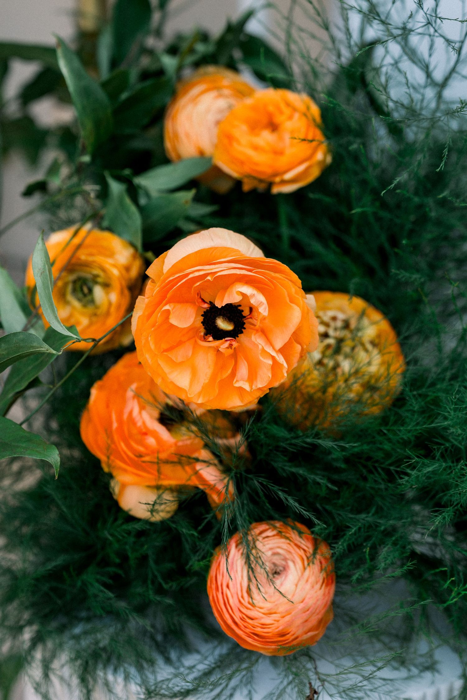 Vibrant orange ranunculus flowers with dark green foliage in a moody floral arrangement.