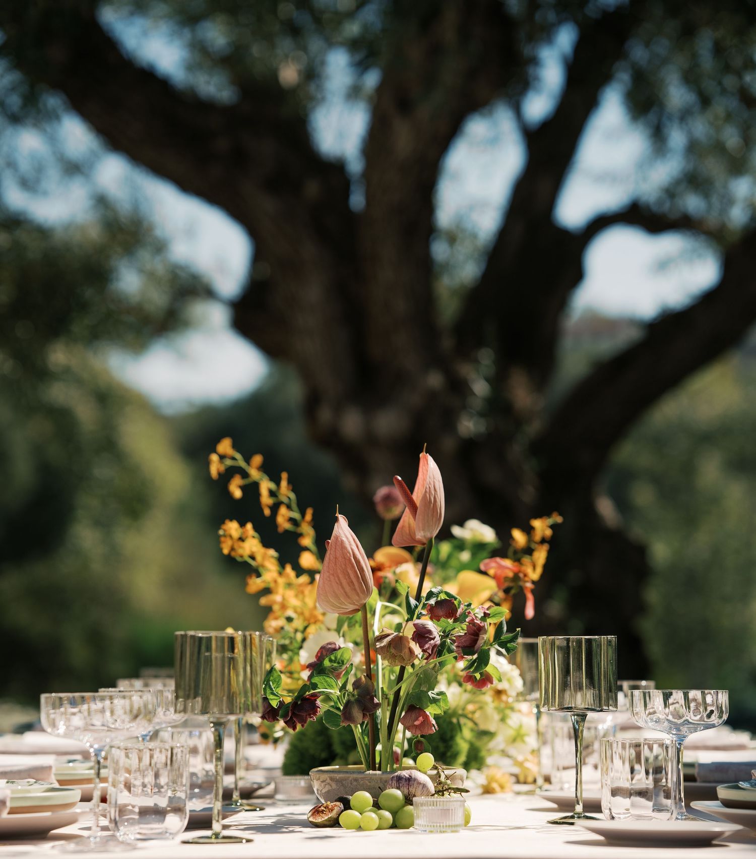 Wedding reception table setting with floral centerpiece and glassware under large oak tree.