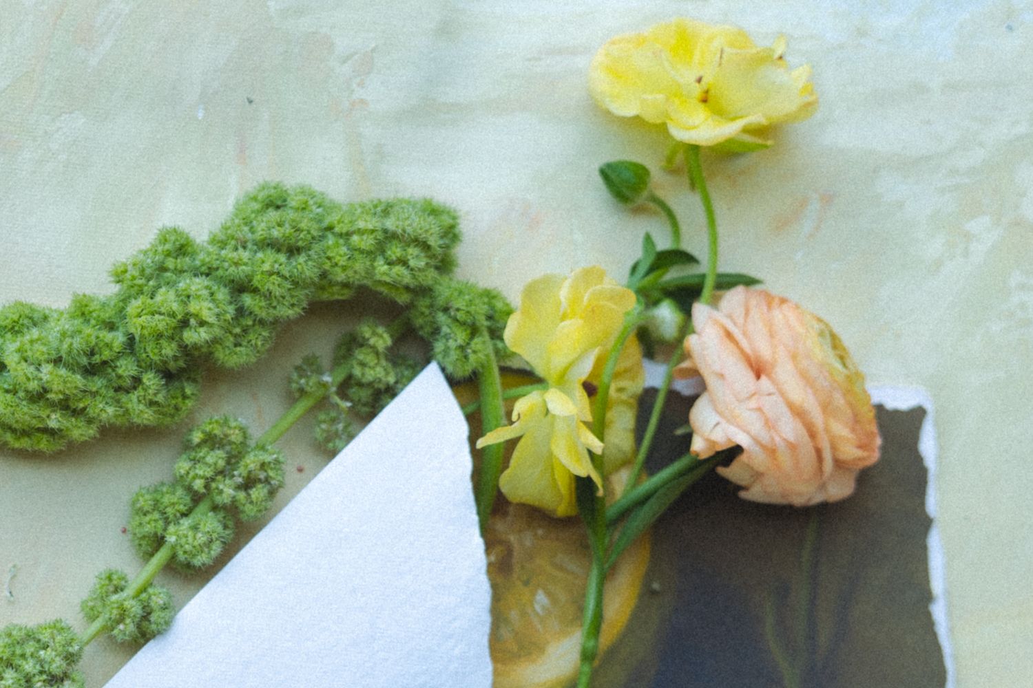 Yellow and peach flowers arranged with green foliage against a white background.