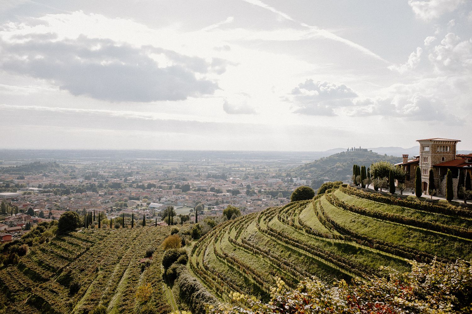 i vigneti a Le Cantorie, Franciacorta